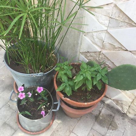 Casa Vacanze Le Rose 拉古萨的码头 外观 照片